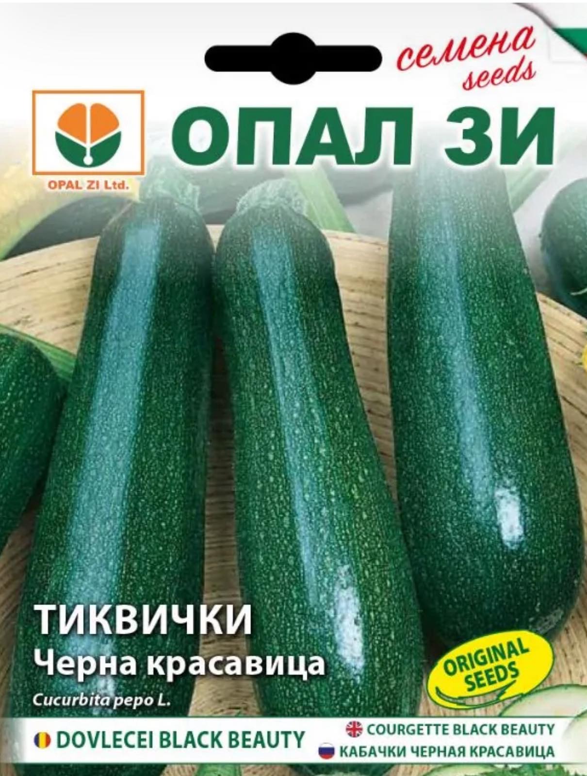 ТИКВИЧКИ ЧЕРНА КРАСАВИЦА