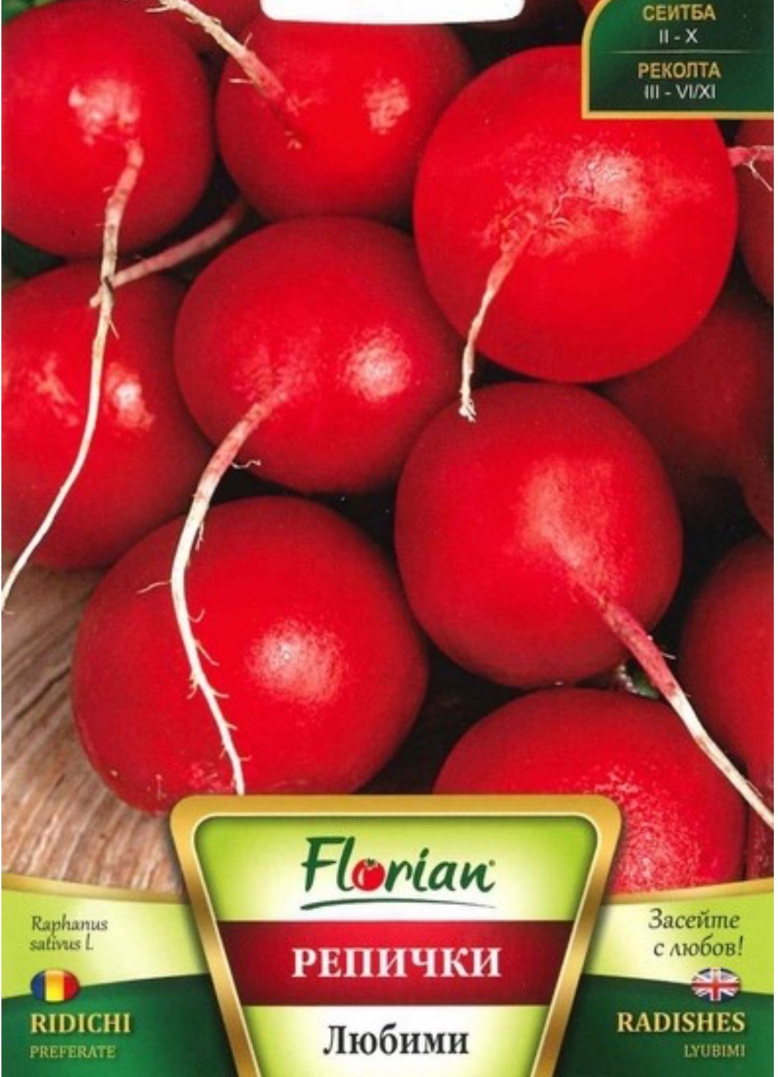 РЕПИЧКИ ЛЮБИМИ