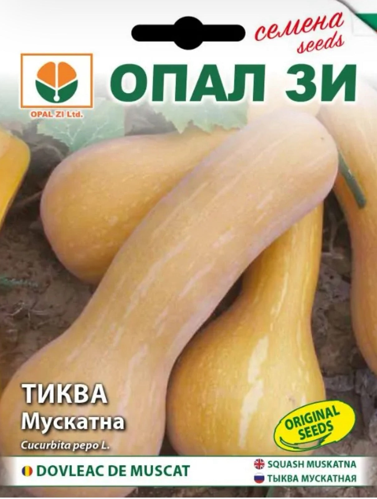 ТИКВА МУСКАТНА
