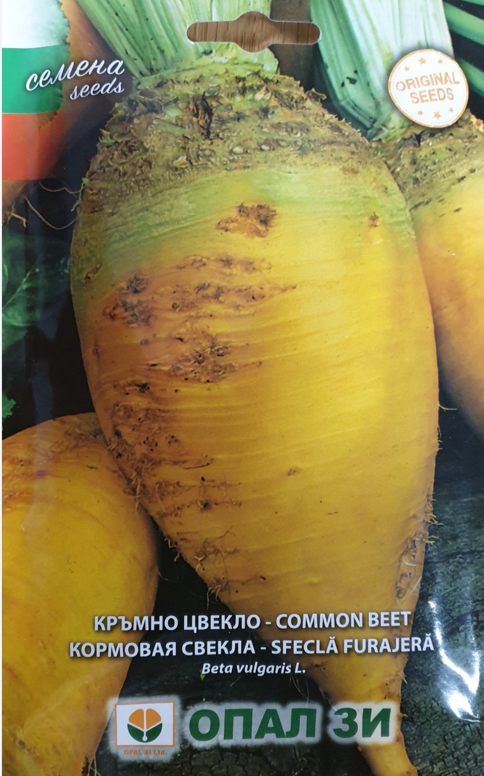 КРЪМНО ЦВЕКЛО