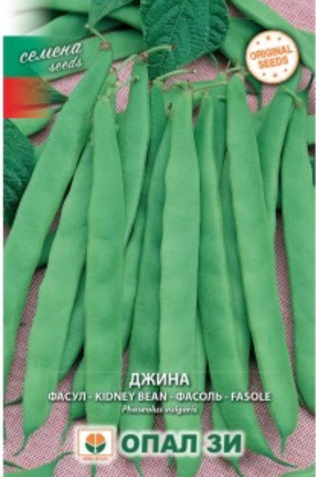 ФАСУЛ ДЖИНА