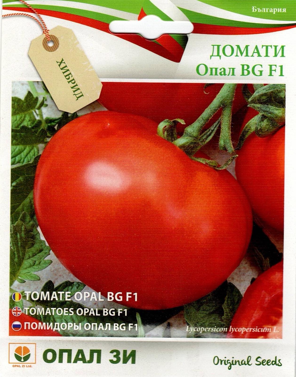 ДОМАТИ ОПАЛ БГ Ф1