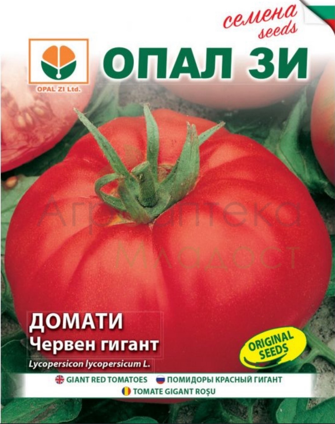 ДОМАТИ ЧЕРВЕН ГИГАНТ