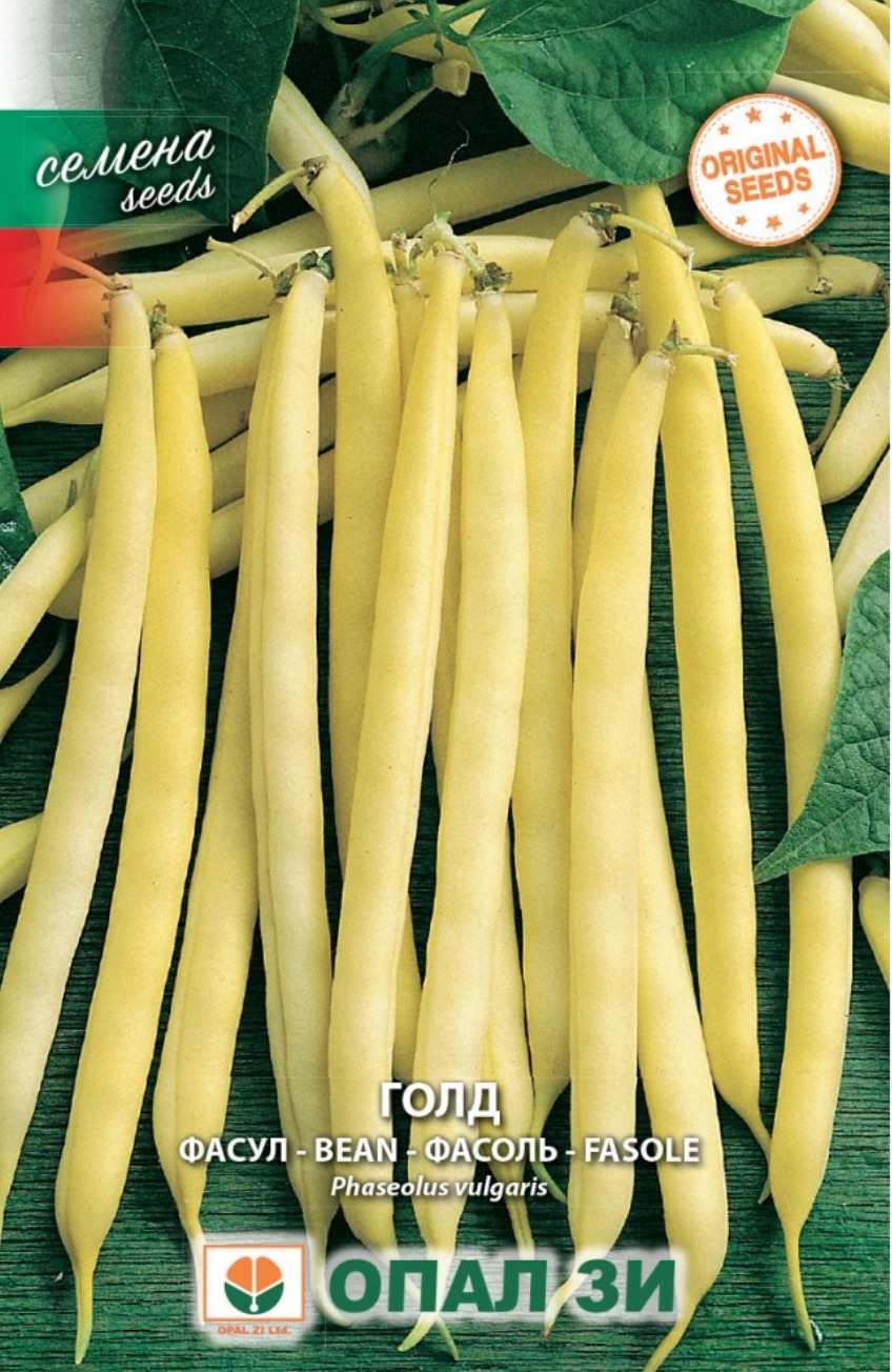 ФАСУЛ ГОЛД