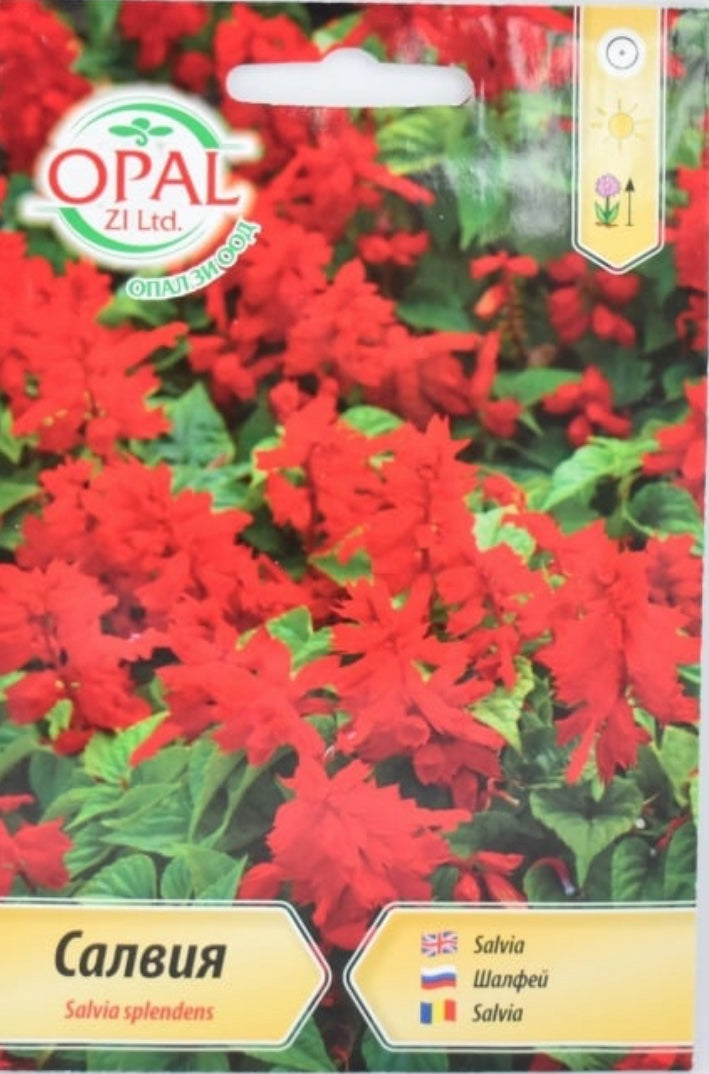 САЛВИЯ