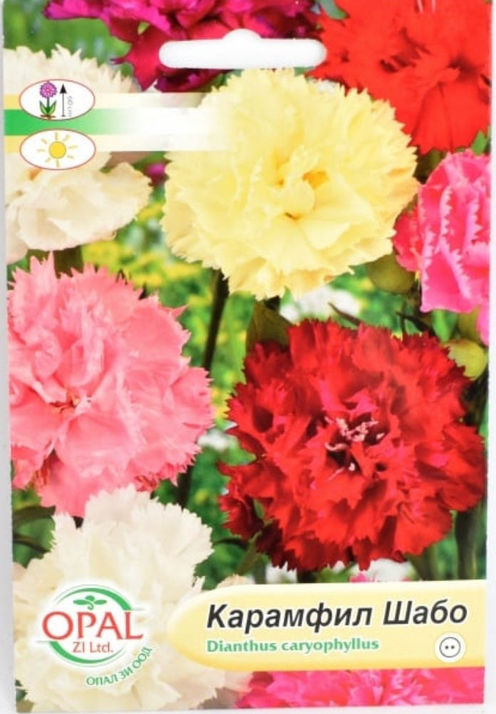 КАРАМФИЛ ШАБО