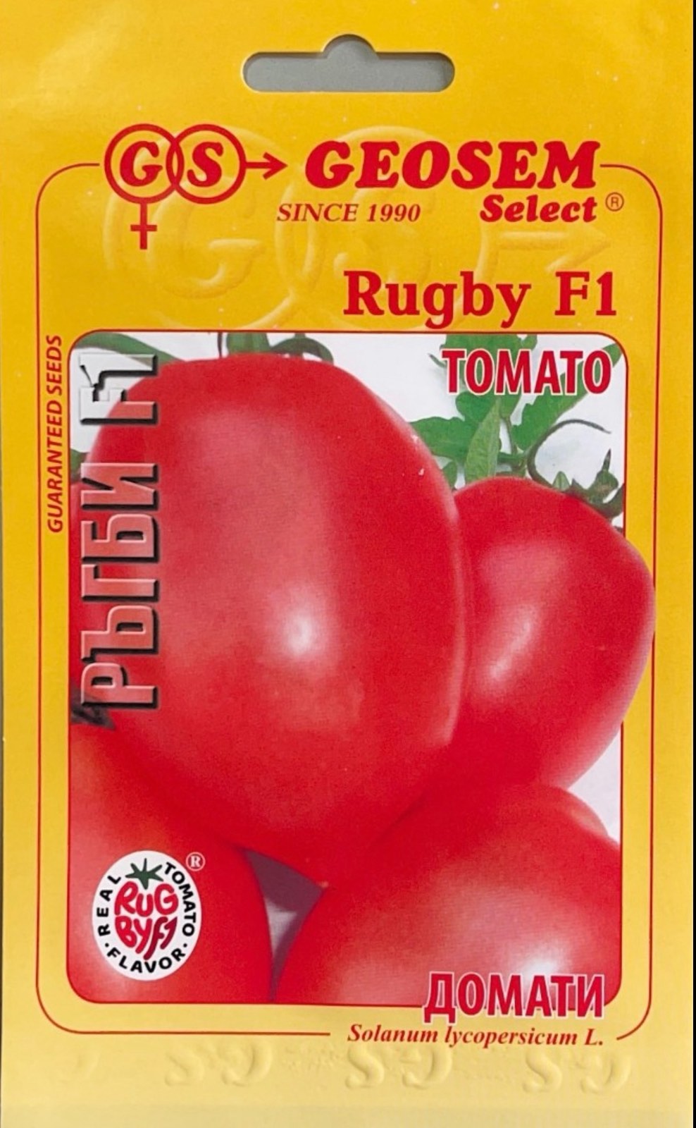 ДОМАТИ РЪГБИ Ф1