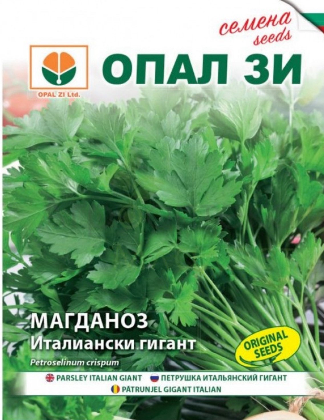 МАГДАНОЗ ИТАЛИАНСКИ ГИГАНТ