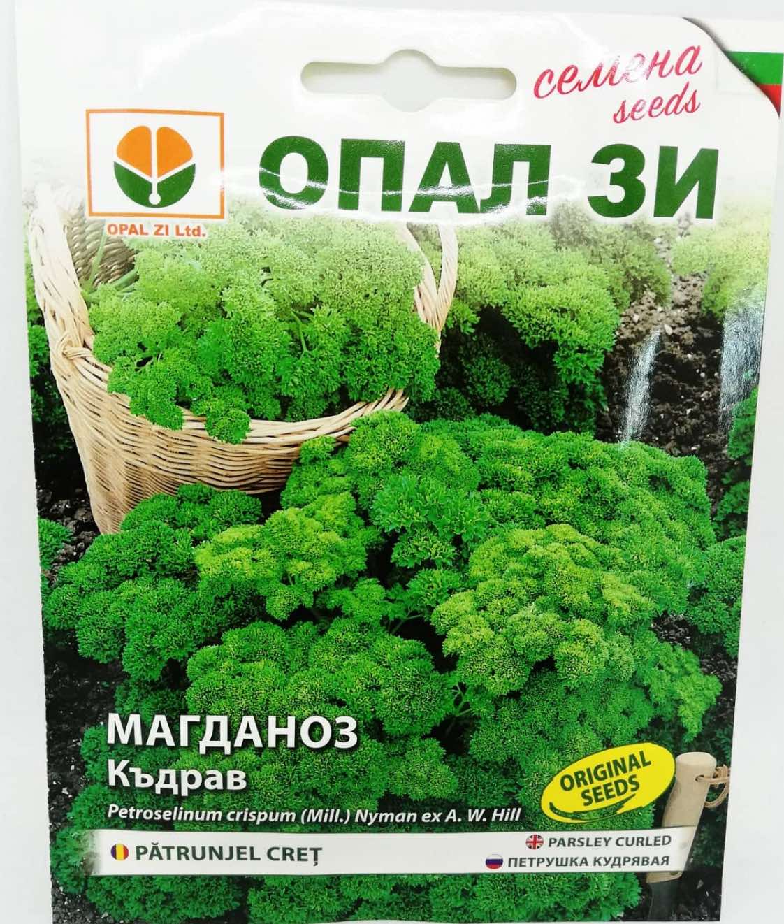 МАГДАНОЗ КЪДРАВ