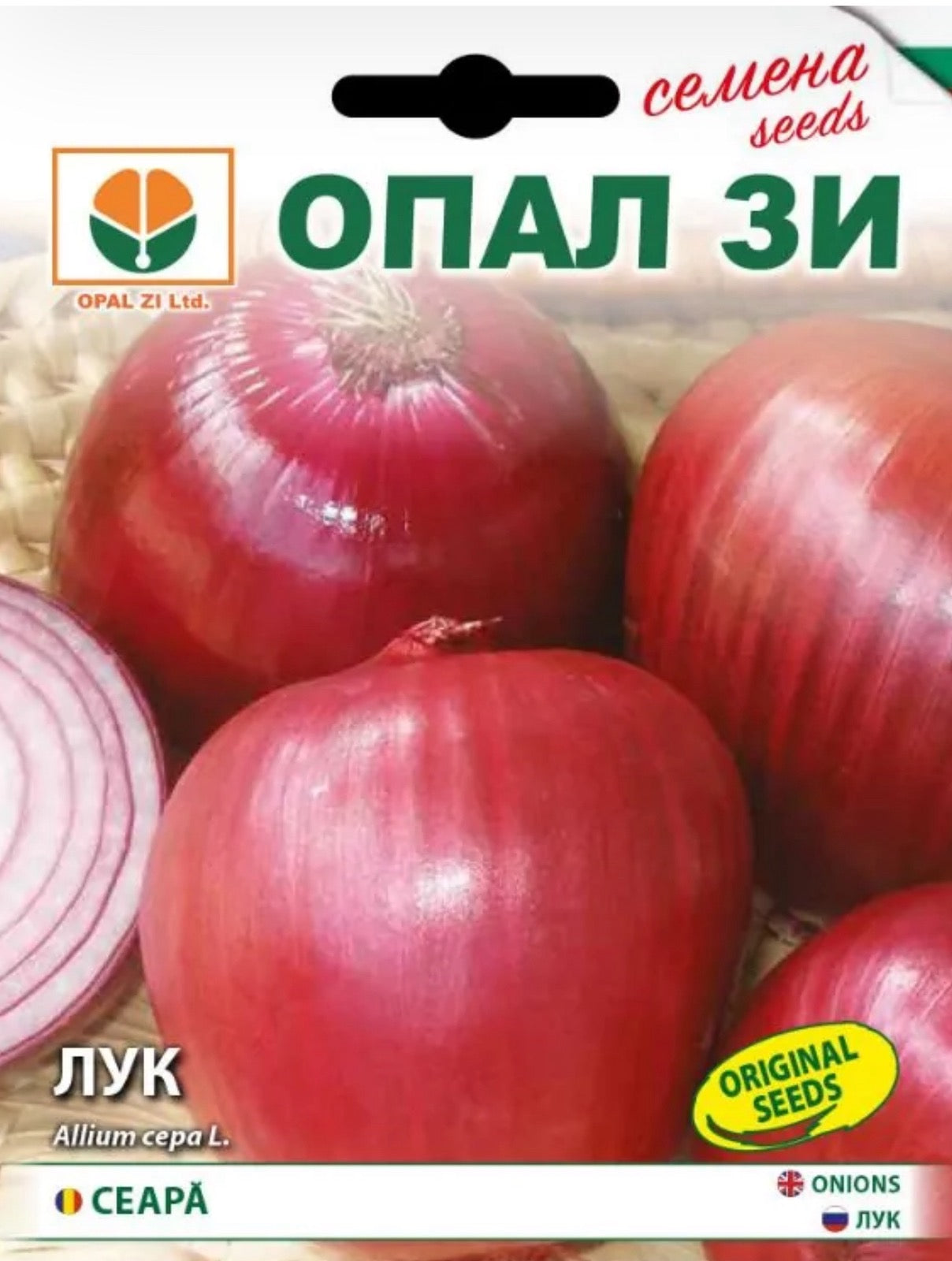 ЧЕРВЕН ЛУК ФЛОРЕНЦИЯ