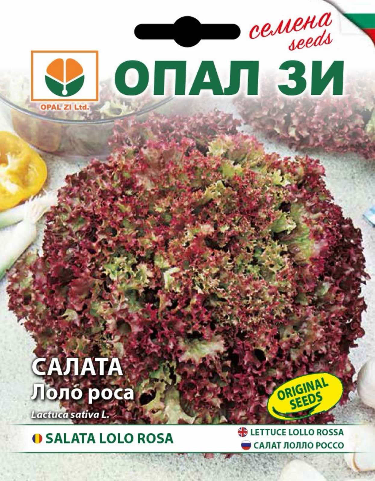 Салата Лоло роса