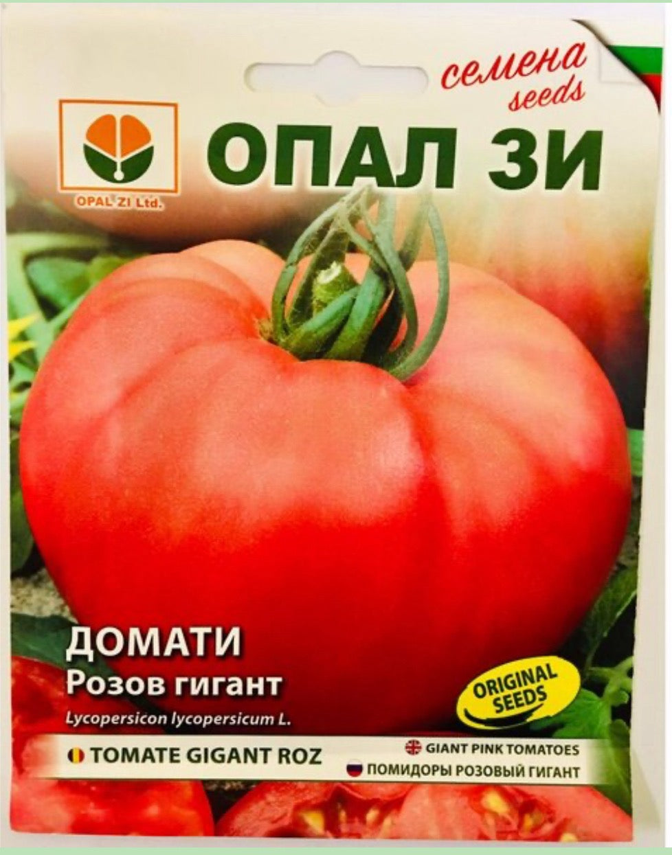 ДОМАТИ РОЗОВ ГИГАНТ