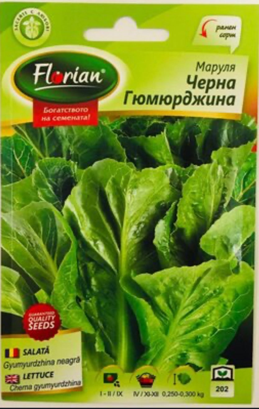 МАРУЛЯ ЧЕРНА ГЮМЮРДЖИНА