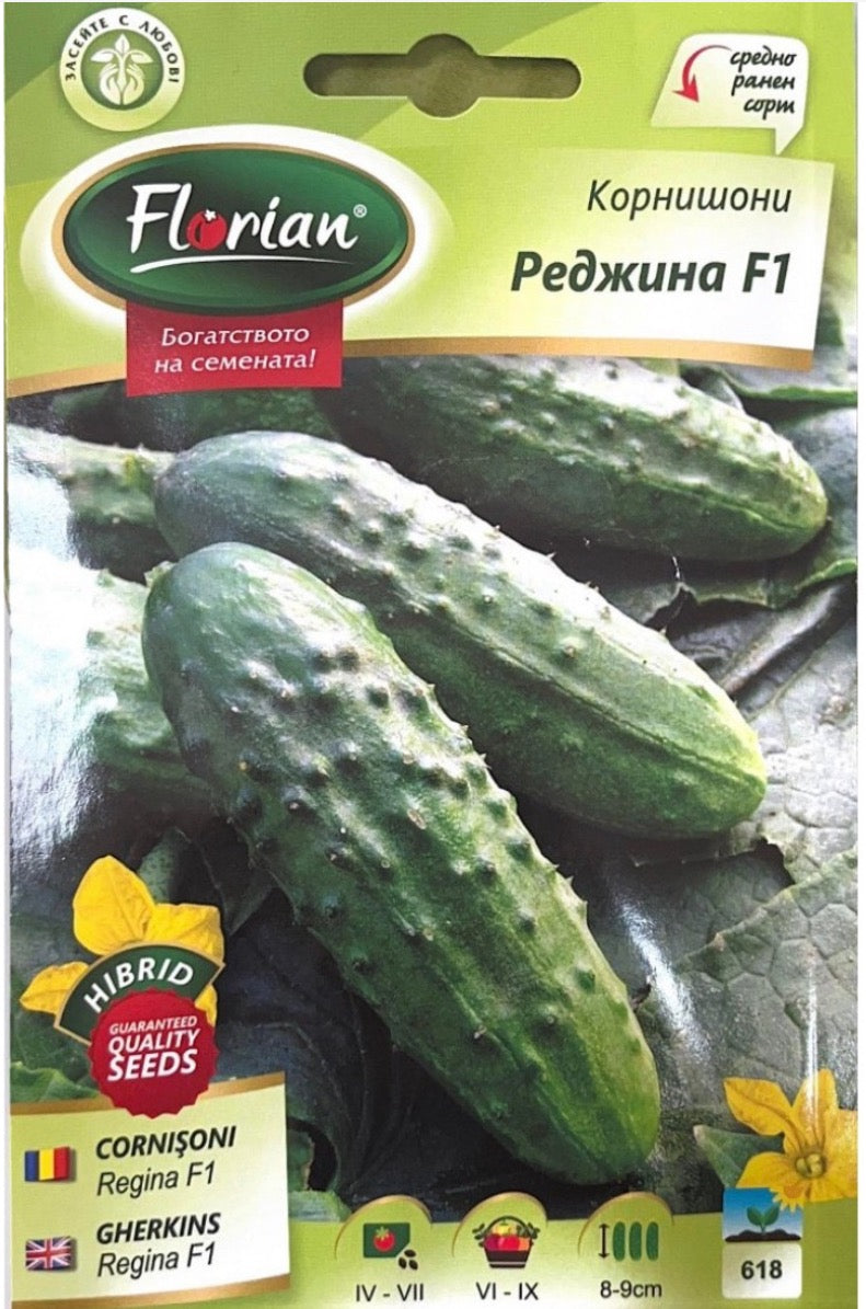 КОРНИШОНИ РЕДЖИНА Ф1