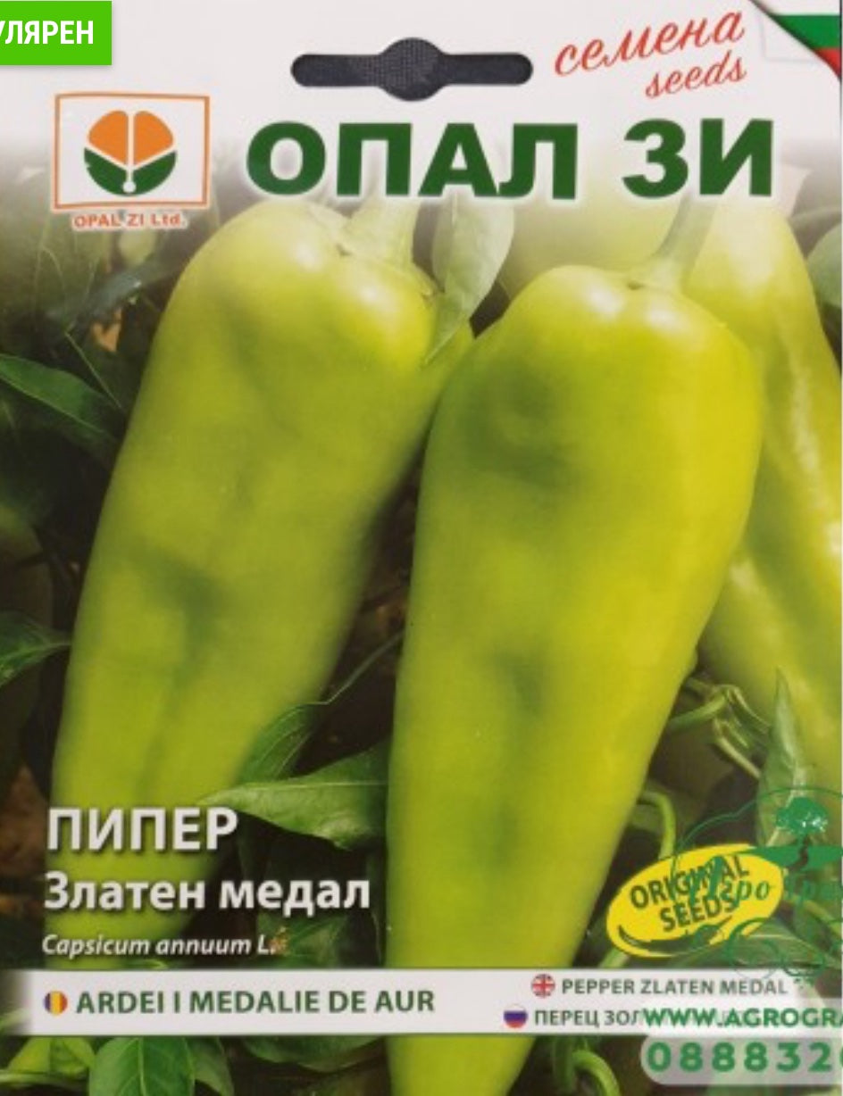 ПИПЕР ФАМИЛИЯ