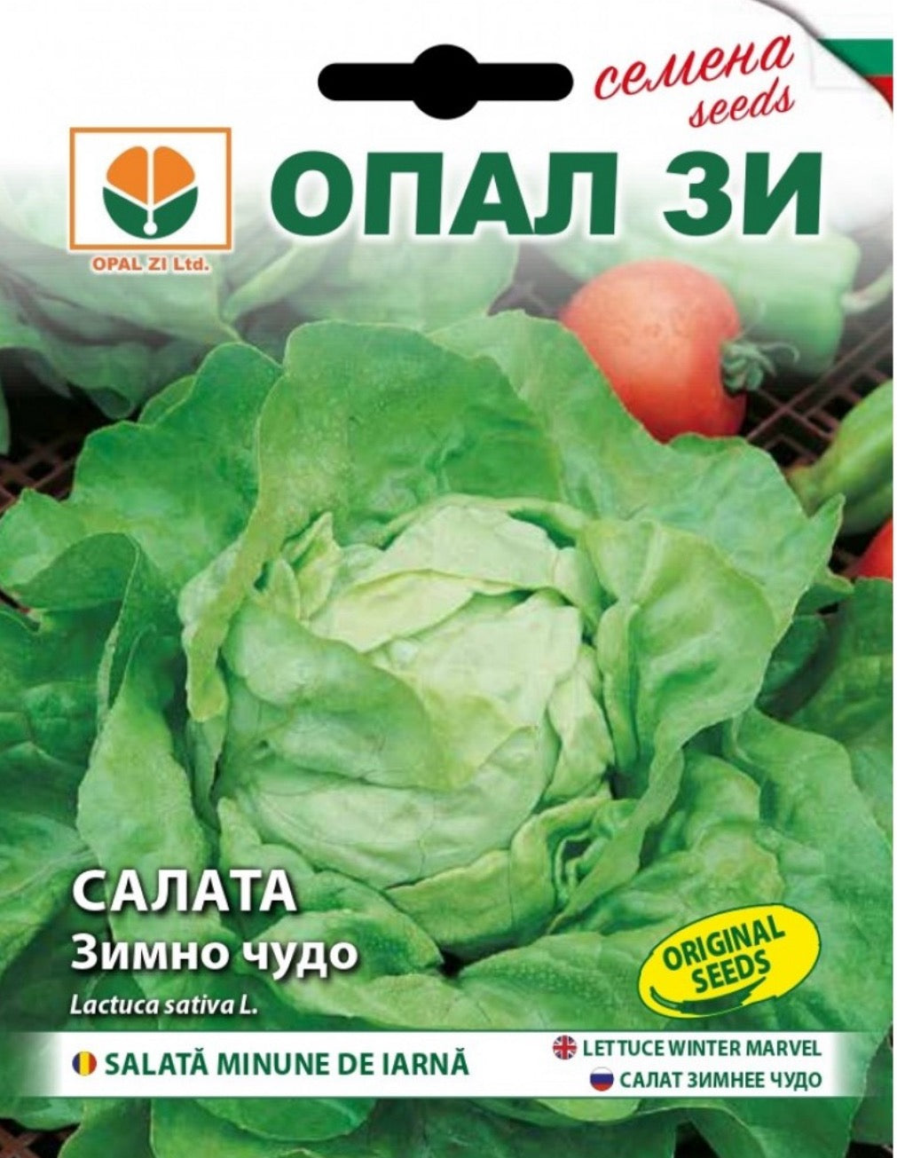 САЛАТА ЗИМНО ЧУДО