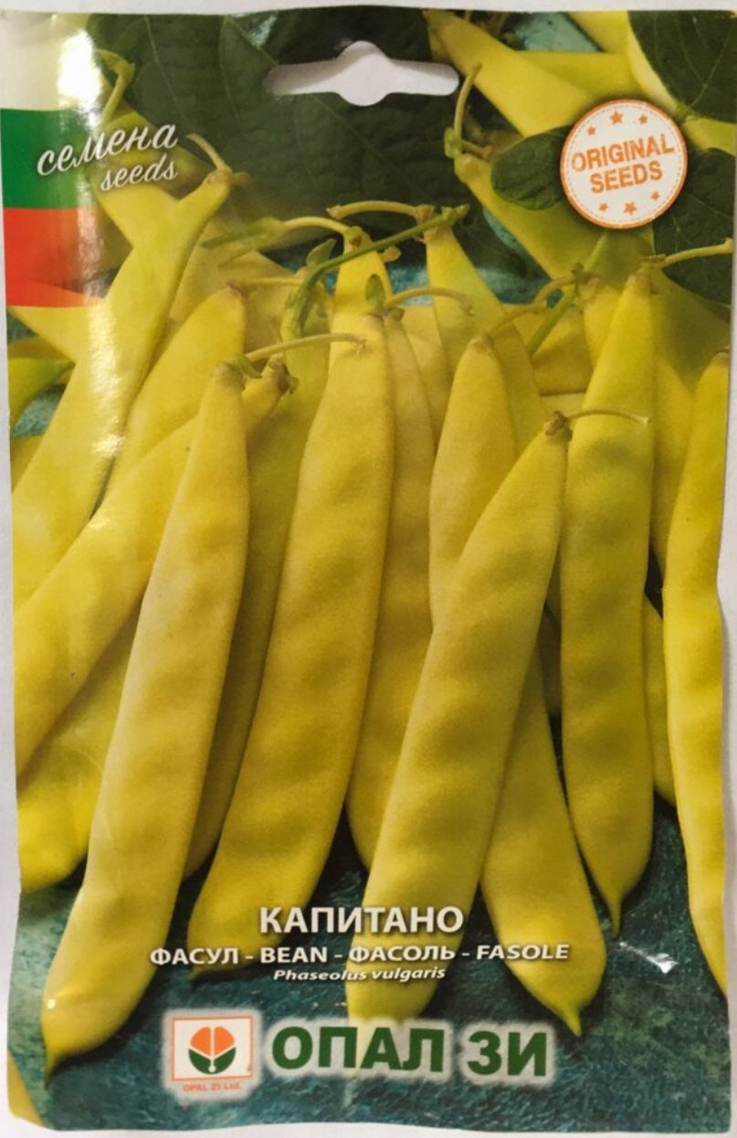 ФАСУЛ КАПИТАНО