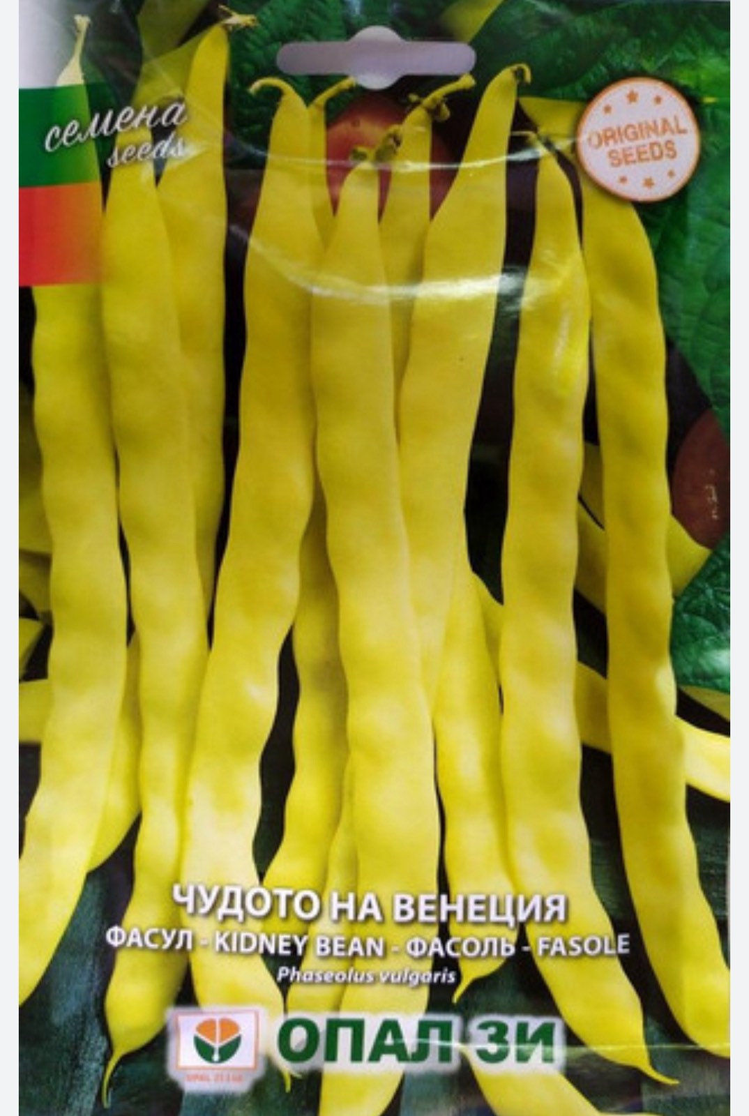 ФАСУЛ ЧУДОТО НА ВЕНЕЦИЯ