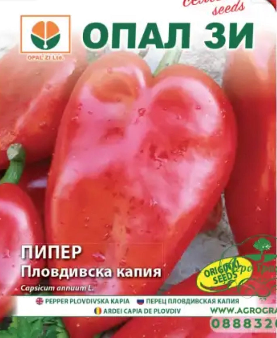 ПИПЕР ПЛОВДИВСКА КАПИЯ