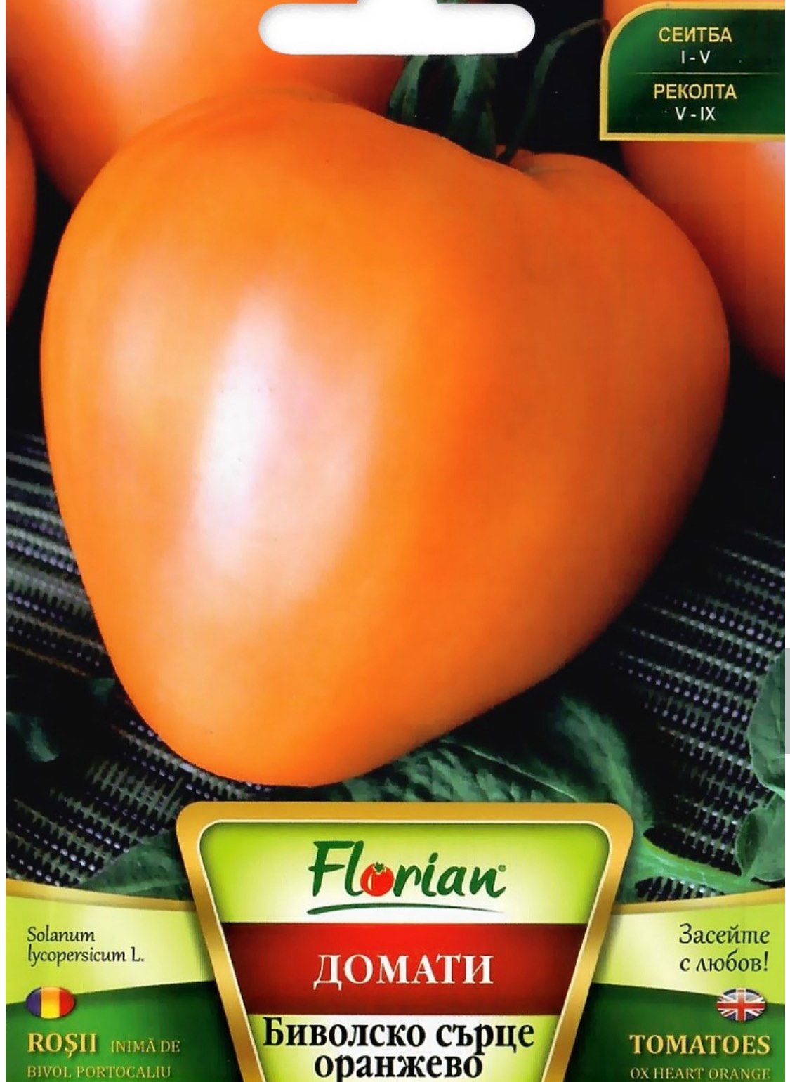 ДОМАТИ БИВОЛСКО СЪРЦЕ ОРАНЖЕВО