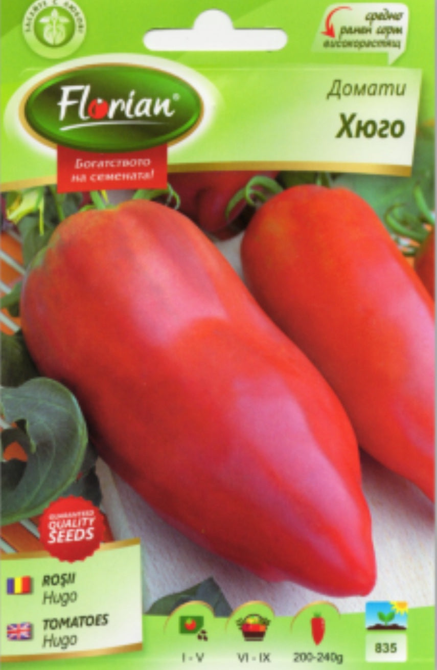 ДОМАТИ ХЮГО