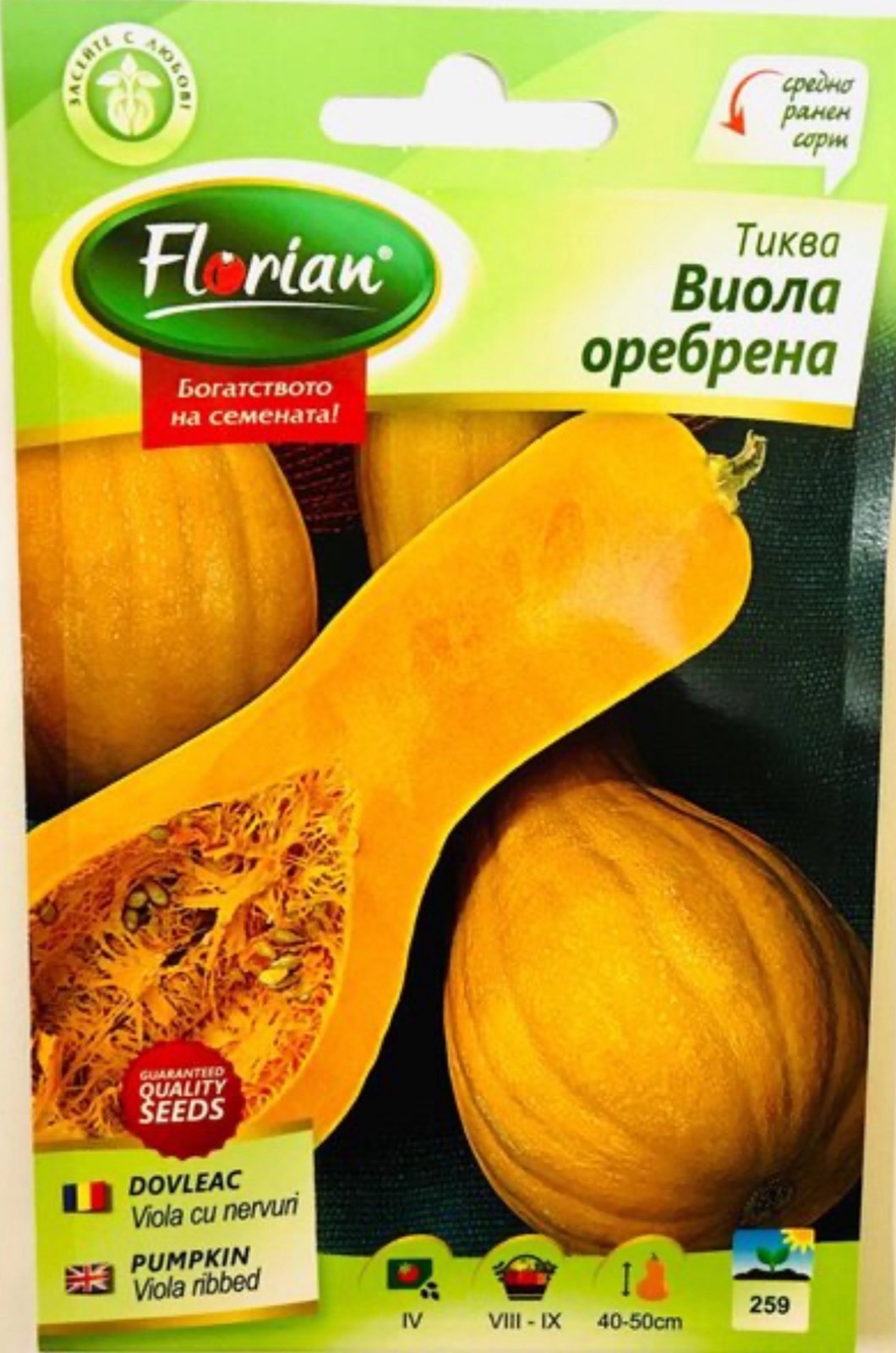 ТИКВА ВИОЛА ОРЕБРЕНА