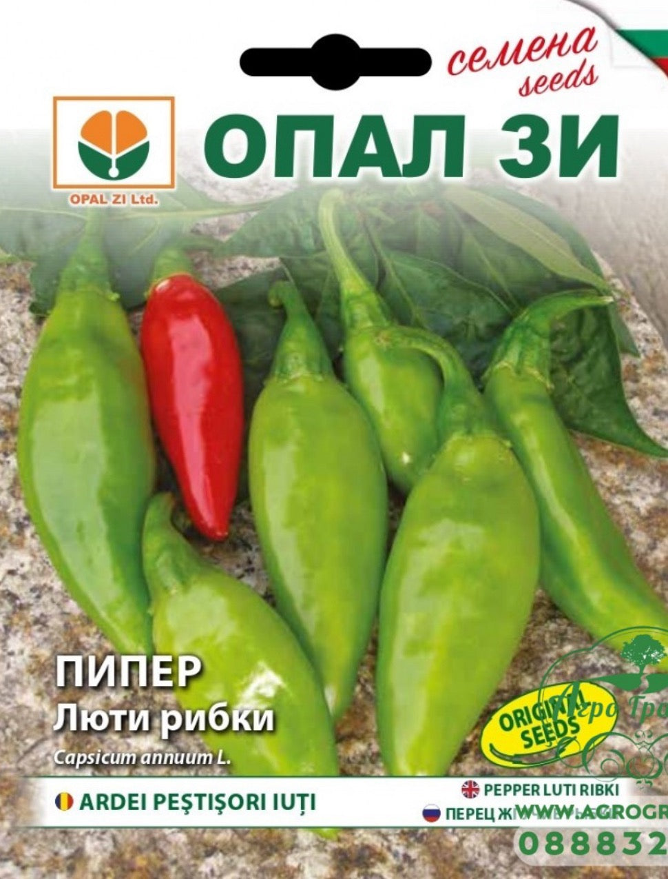 ПИПЕР ЛЮТИ РИБКИ