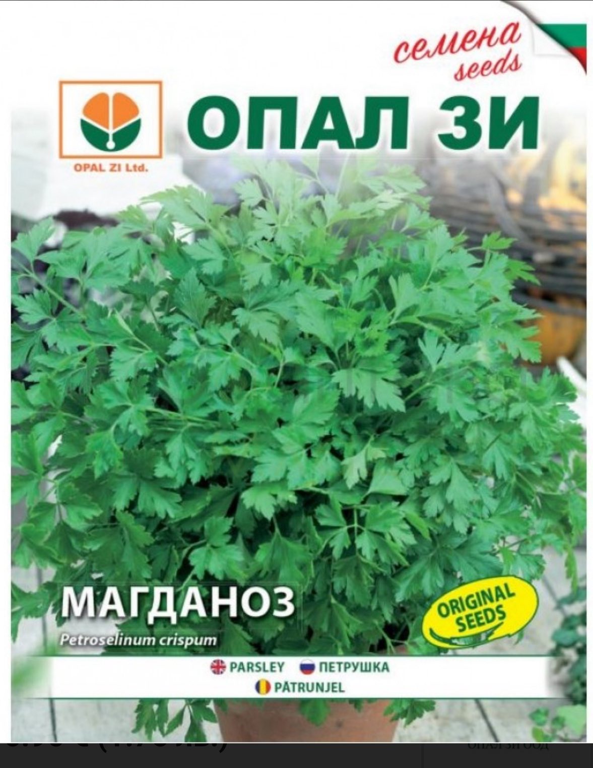 МАГДАНОЗ ФЕСТИВАЛ