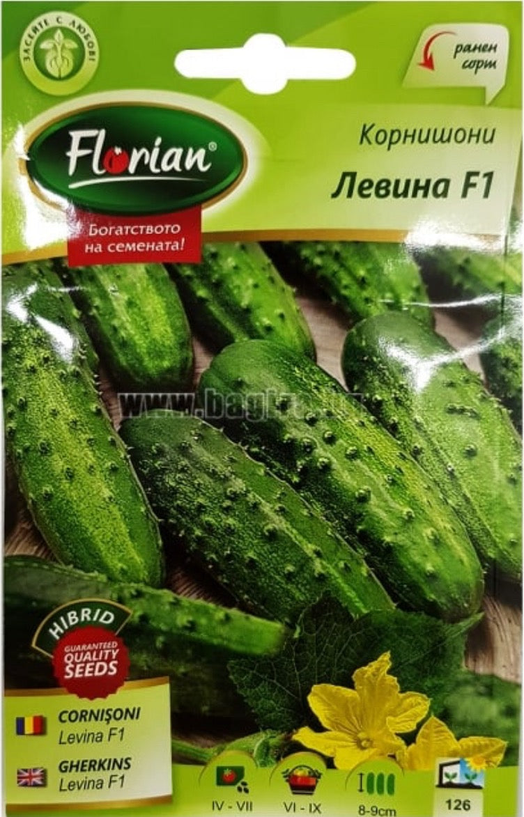 КОРНИШОНИ ЛЕВИНА Ф1