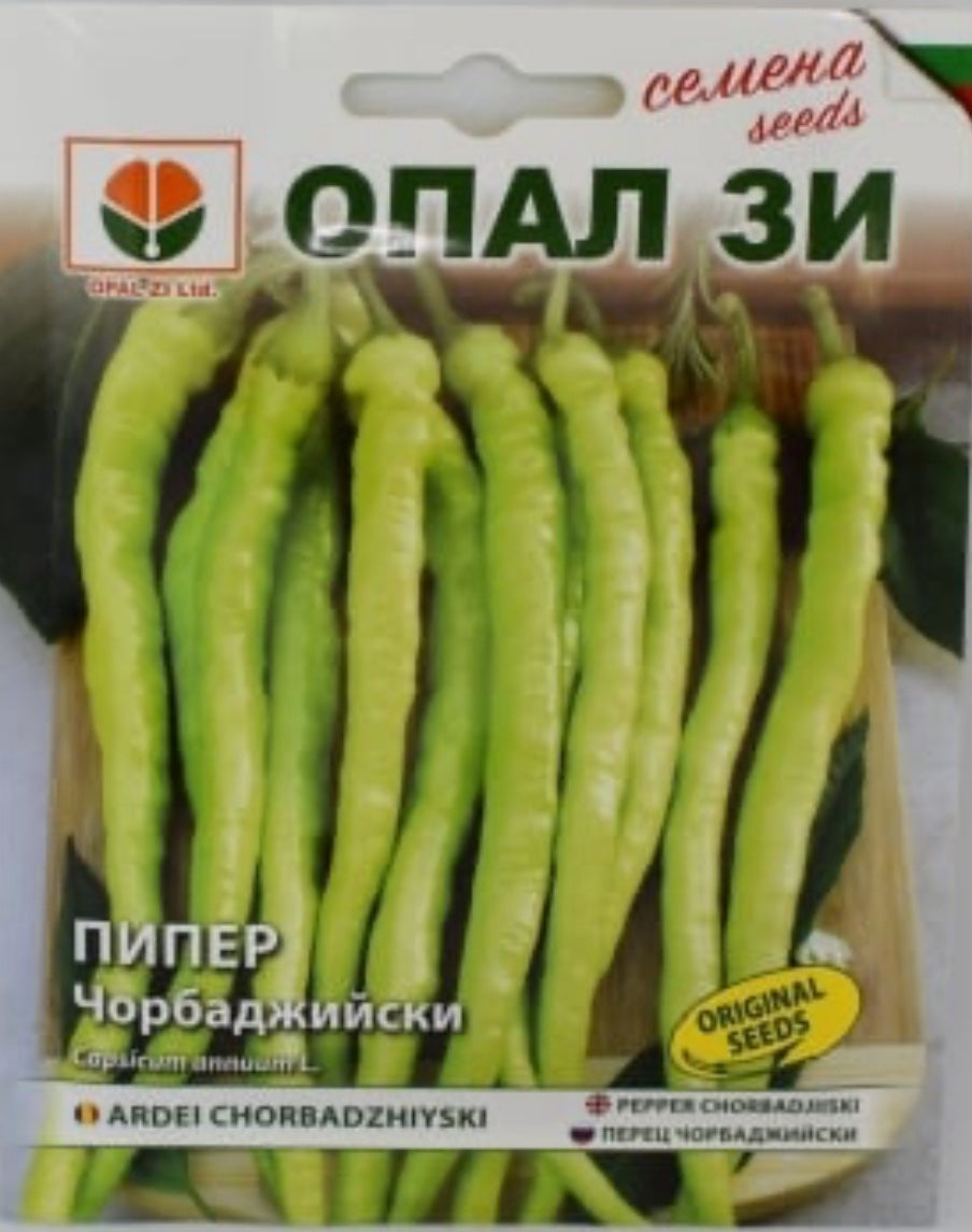 ПИПЕР ЧОРБАДЖИЙСКИ