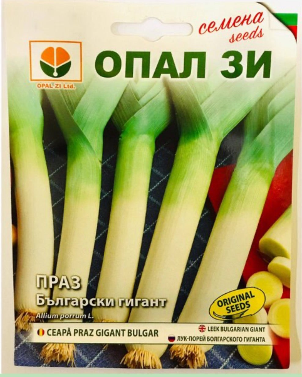 ПРАЗ БЪЛГАРСКИ ГИГАНТ