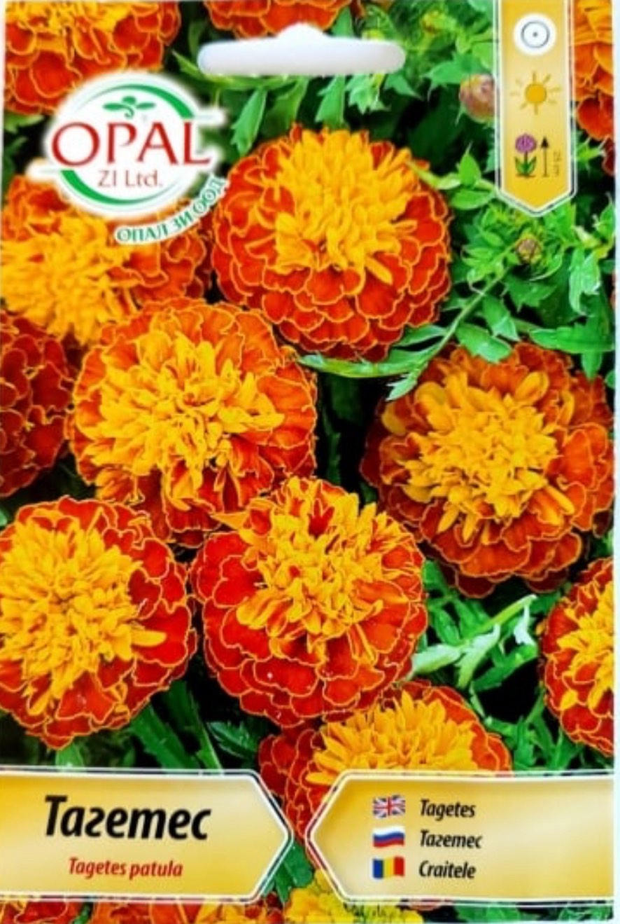 ТАГАТЕС МИНИ