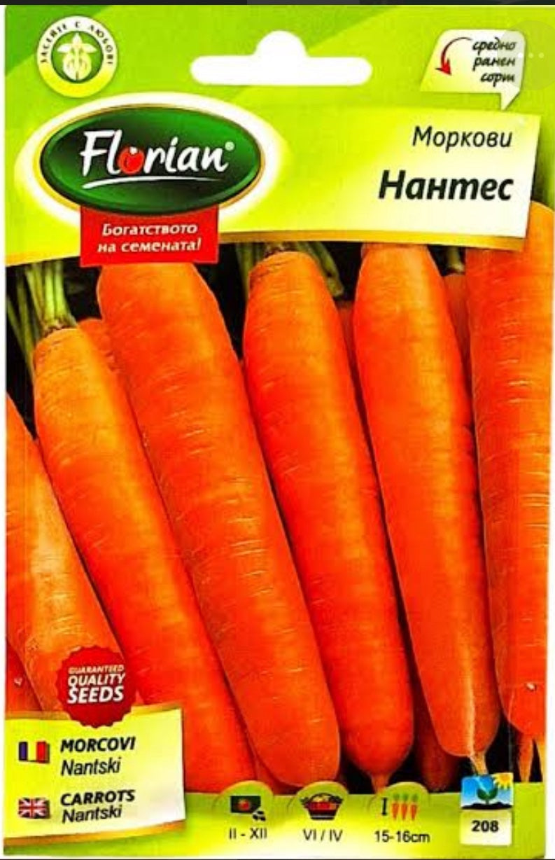 МОРКОВИ НАНТЕС