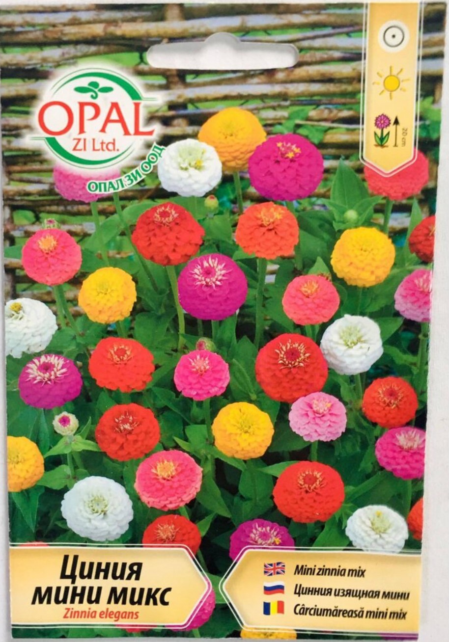ЦИНИЯ МИНИ МИКС