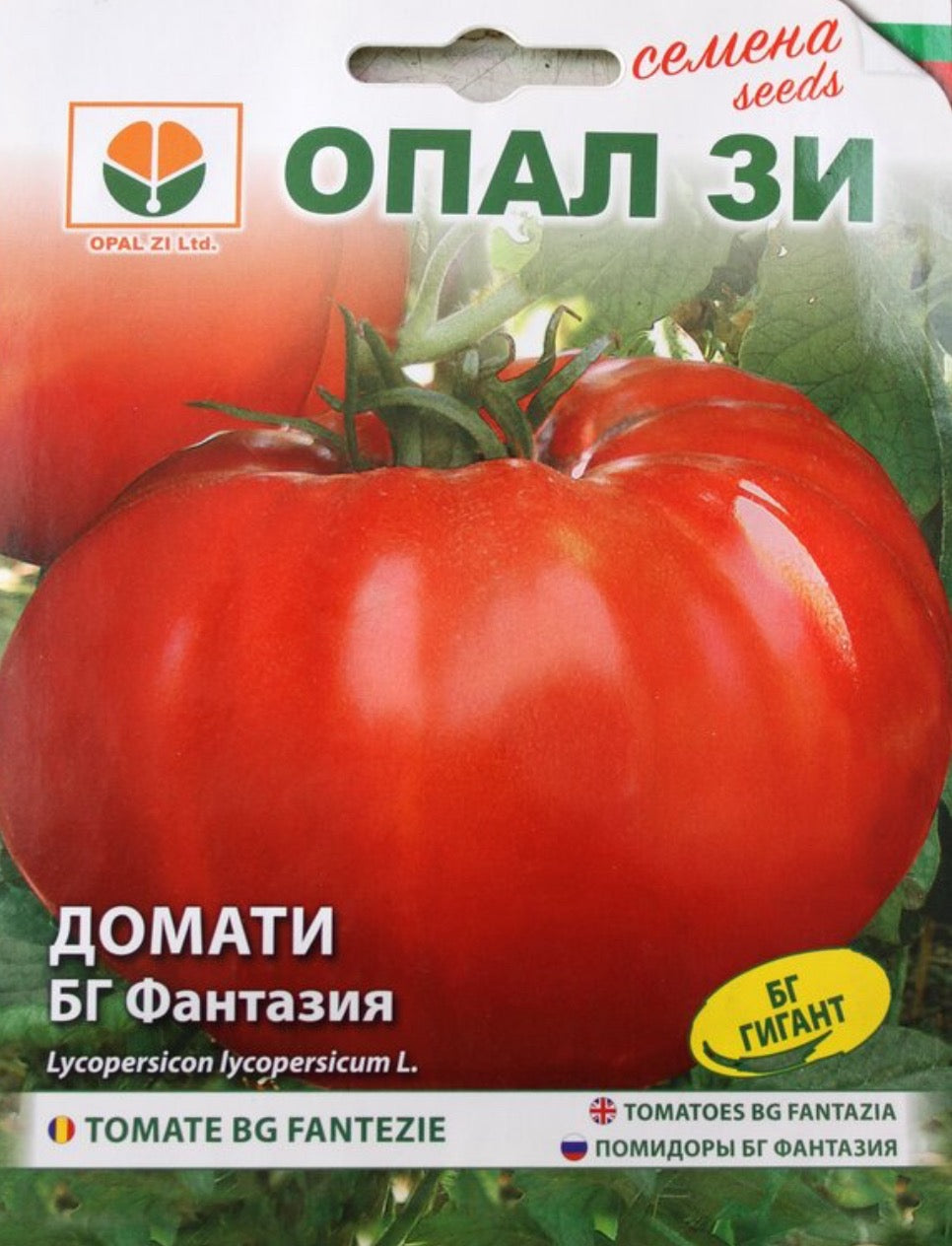 ДОМАТИ БГ ФАНТАЗИЯ