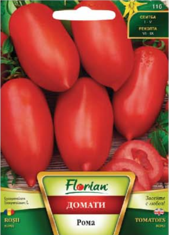 ДОМАТИ РОМА