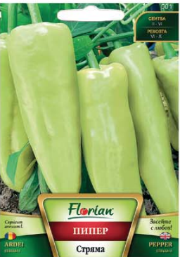 ПИПЕР СТРЯМА