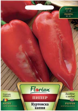 ПИПЕР КУРТОВСКА КАПИЯ